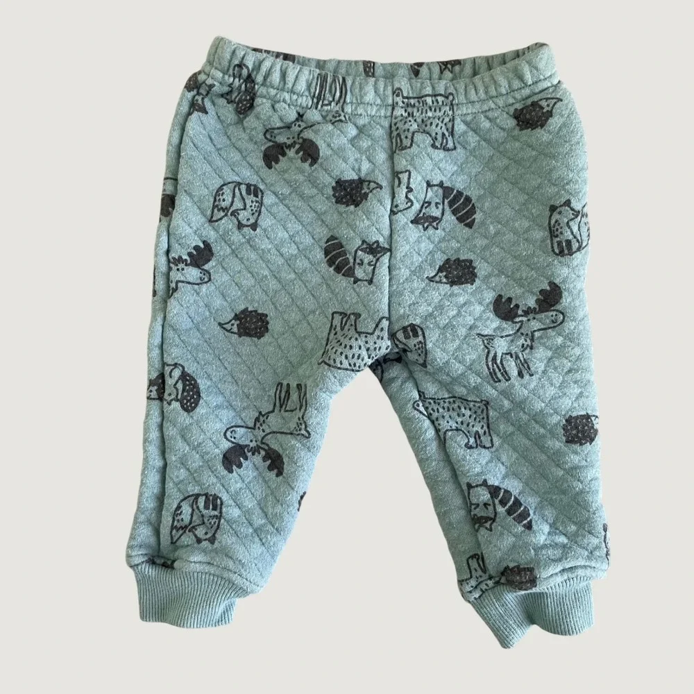 Koala Kids Baby 3M‎ Quilted Matching Set Forest Animals Sage Green Pants Sweater